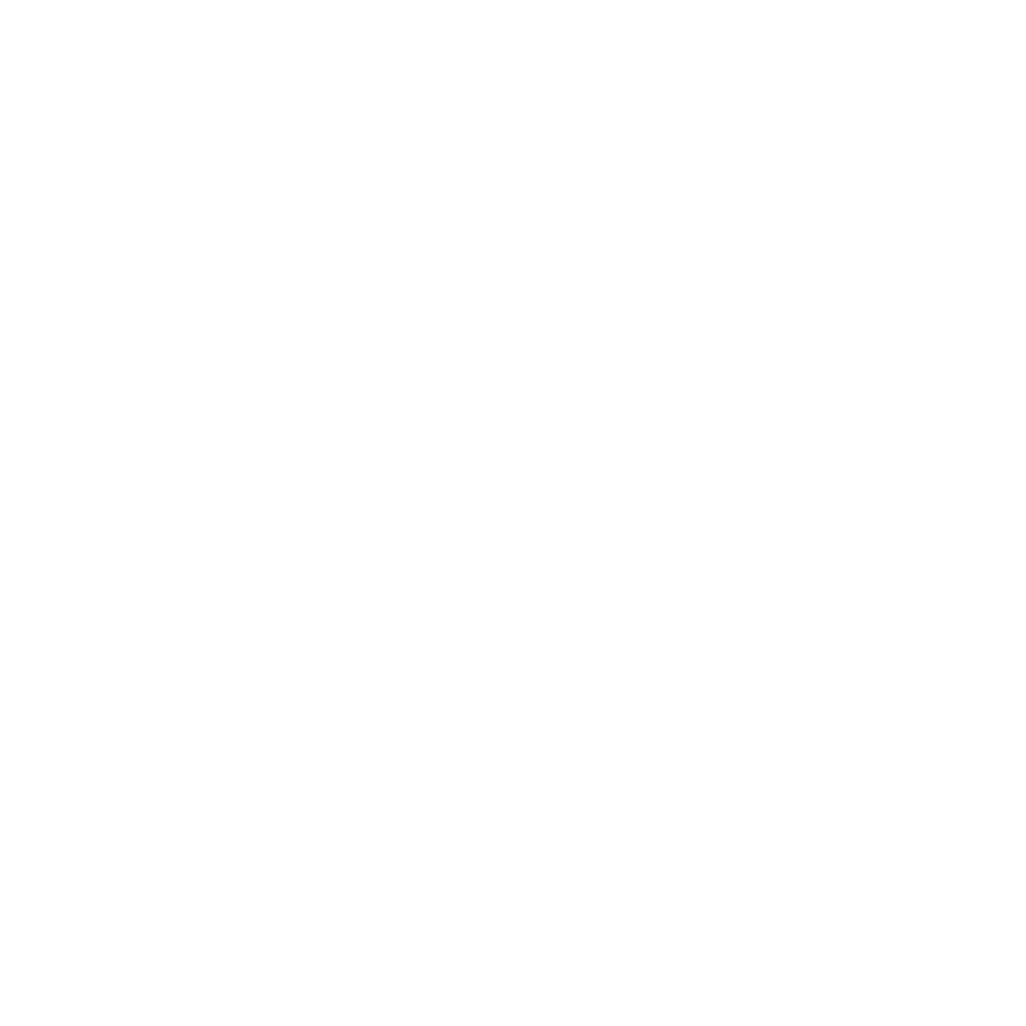 GuidiCar - Icona Mani