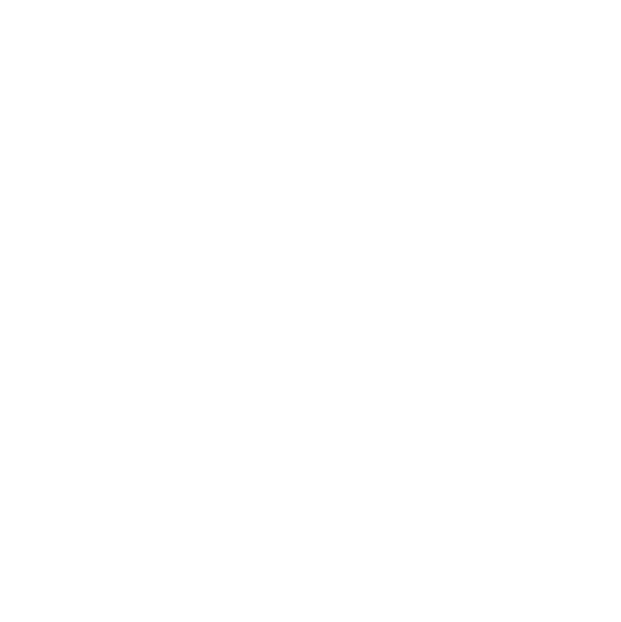 GuidiCar - Icona Scudo