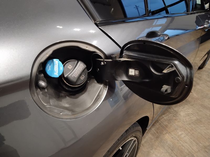 GuidiCar - BMW Serie 1       (F20) 116d 5p. Msport