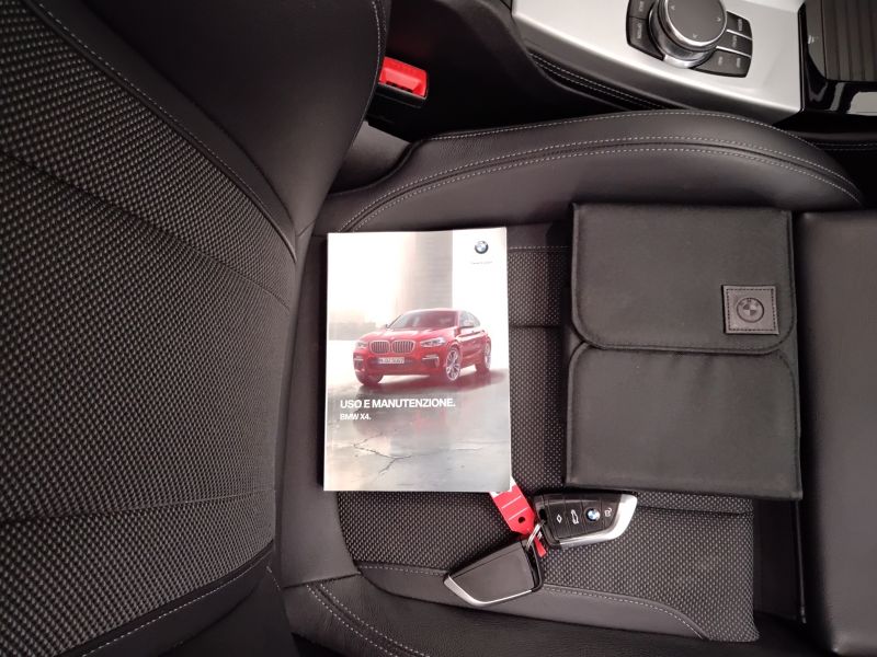 GuidiCar - BMW X4        (G02/F98) X4 xDrive20d xLine