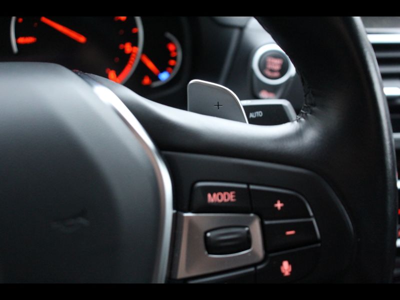 GuidiCar - BMW X4        (G02/F98) X4 xDrive20d xLine