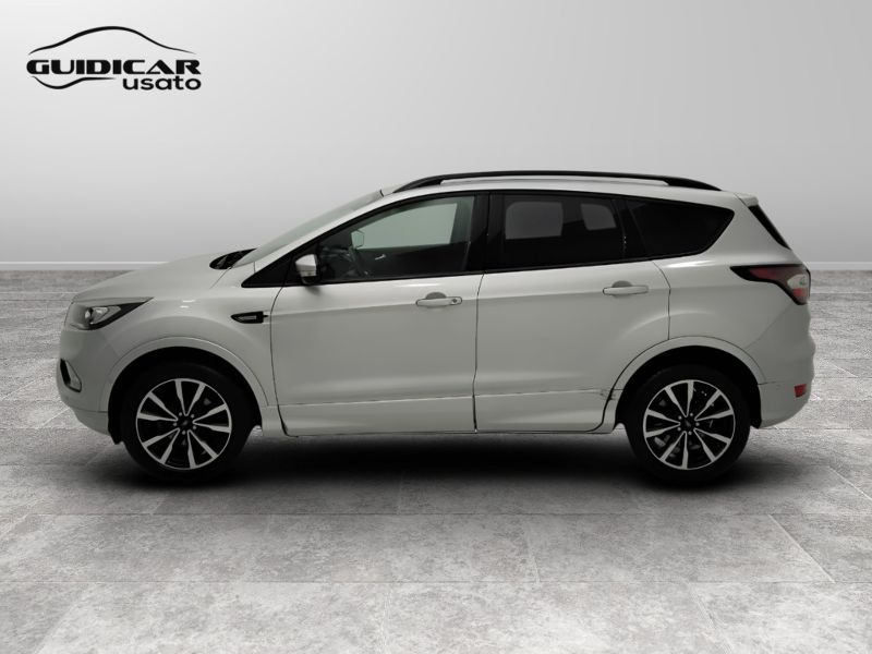 GuidiCar - FORD Kuga 2019 Kuga 1.5 ecoboost ST-Line s&s 2wd 120cv Usato