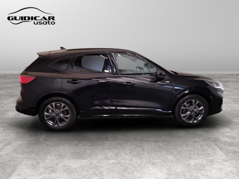 GuidiCar - FORD Kuga 2024 Kuga 2.0 ecoblue ST-Line 2wd 120cv auto Usato
