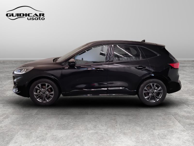 GuidiCar - FORD Kuga 2024 Kuga 2.0 ecoblue ST-Line 2wd 120cv auto Usato