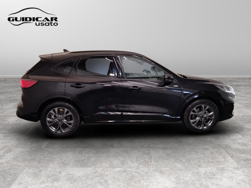 GuidiCar - FORD Kuga 2024 Kuga 2.0 ecoblue ST-Line 2wd 120cv auto Usato