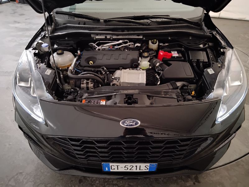 GuidiCar - FORD Kuga 2024 Kuga 2.0 ecoblue ST-Line 2wd 120cv auto Usato