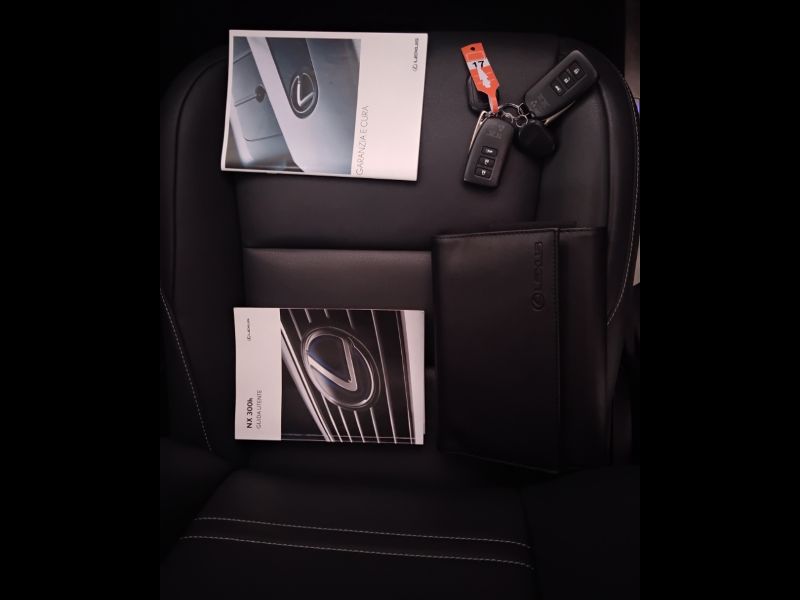 GuidiCar - LEXUS NX 2020 NX 300h 2.5 Premium 4wd cvt Usato