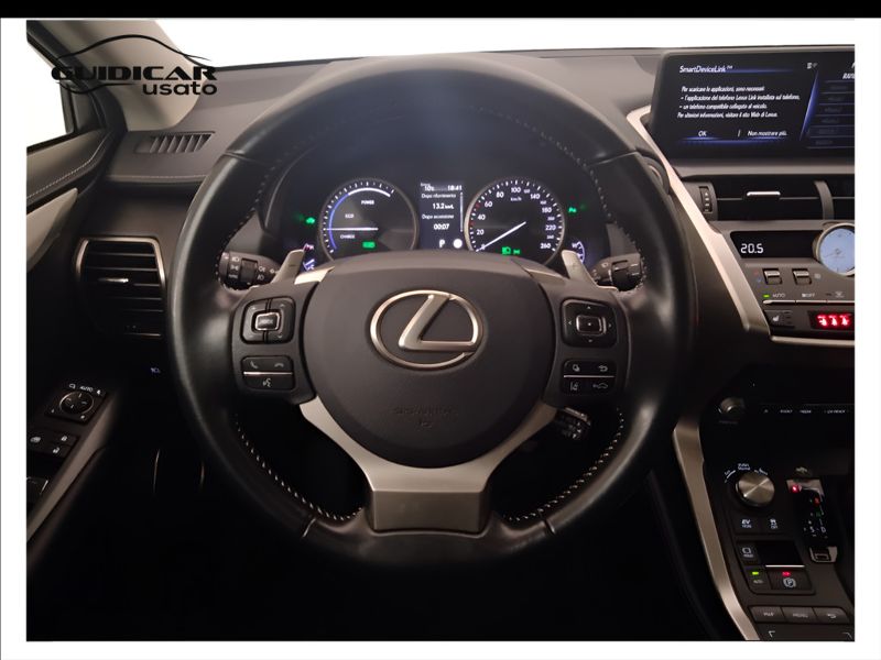 GuidiCar - LEXUS NX 2020 NX 300h 2.5 Premium 4wd cvt Usato