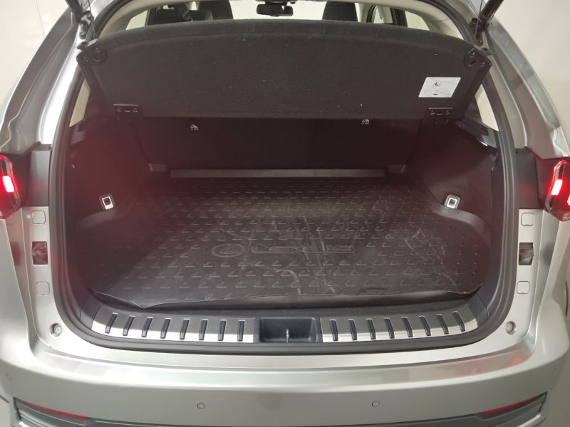 GuidiCar - LEXUS NX 2020 NX 300h 2.5 Premium 4wd cvt Usato