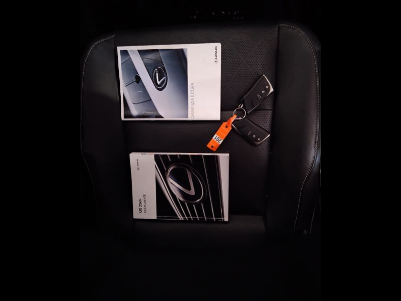 GuidiCar - LEXUS UX 2019 UX 2.0 Executive 2wd cvt Usato