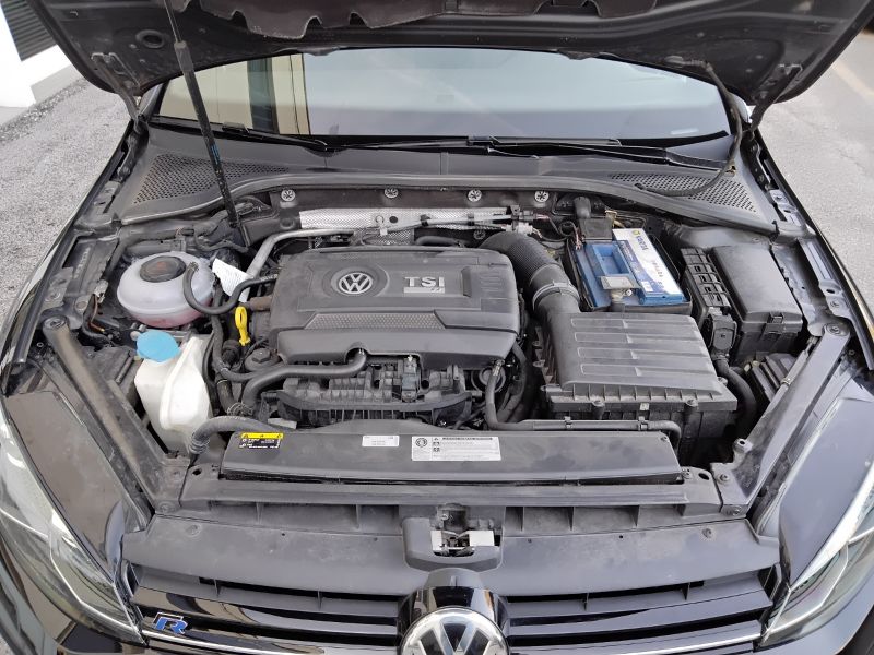 GuidiCar - VOLKSWAGEN Golf 2018 Golf 5p 2.0 tsi R 4motion 310cv dsg Usato
